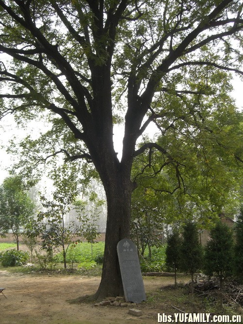 CIMG7303.jpg