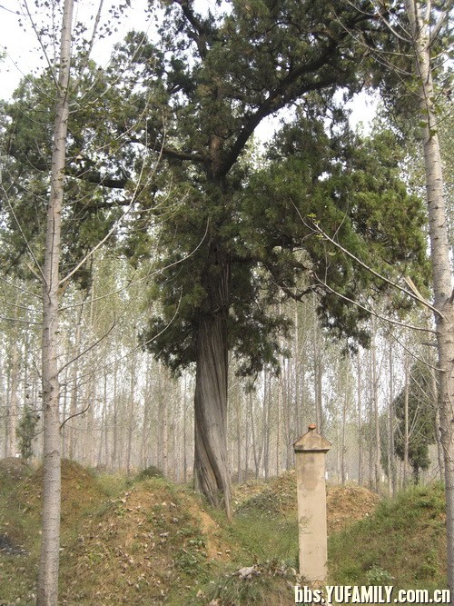 CIMG7310.jpg