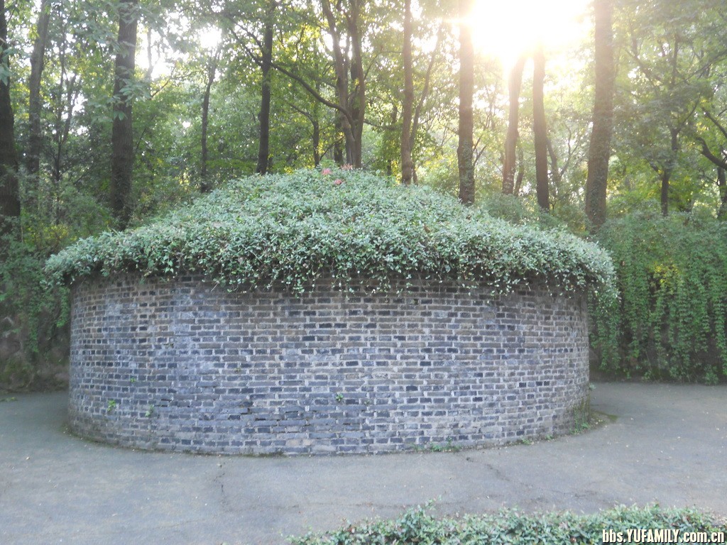 04ǫĹ (8).JPG