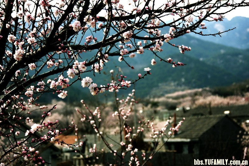 200903091236600002288.jpg