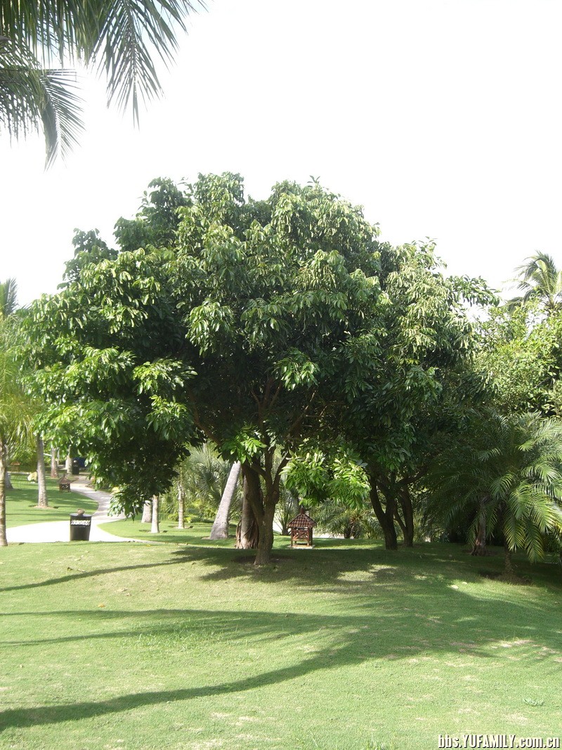 ϲǾƵ (150).JPG