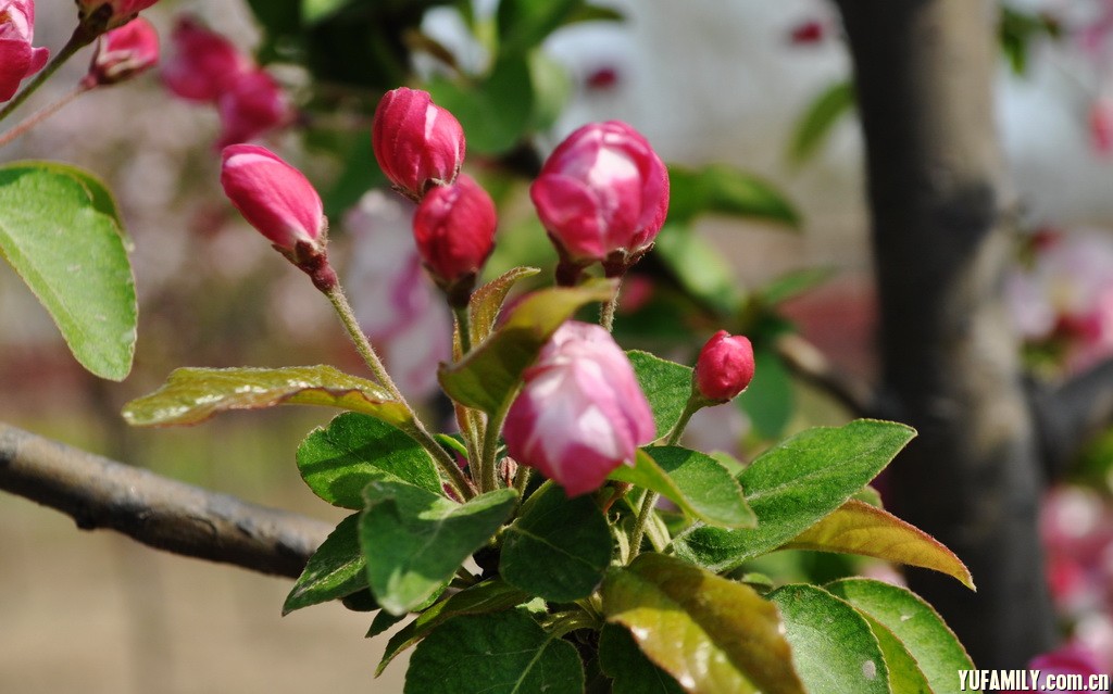 DSC_0068.JPG