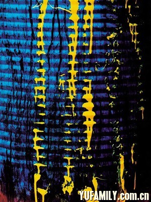 2005.jpg
