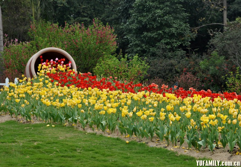 ������ (8).JPG