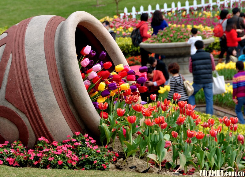 ������ (3).JPG