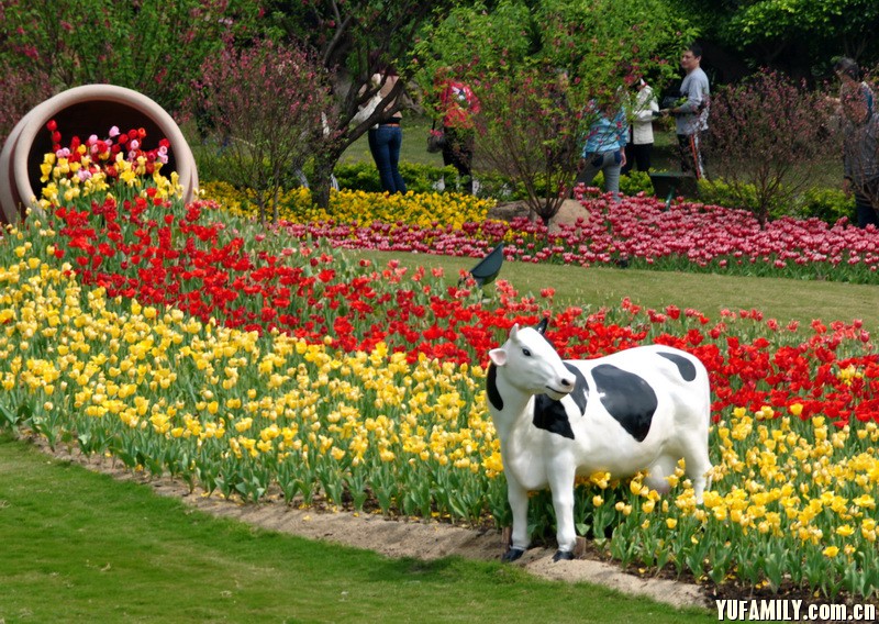 ������ (5).JPG