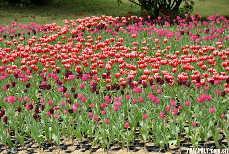 ������ (6).JPG