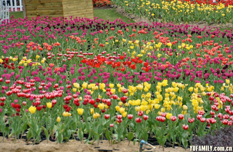 ������ (7).JPG