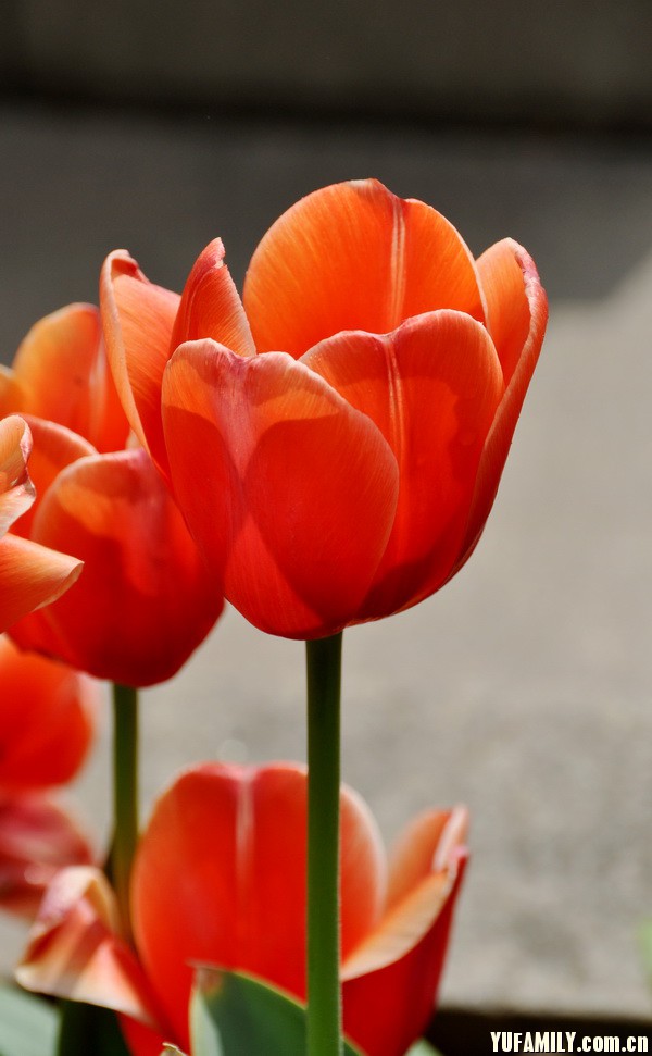 ������ (13).JPG