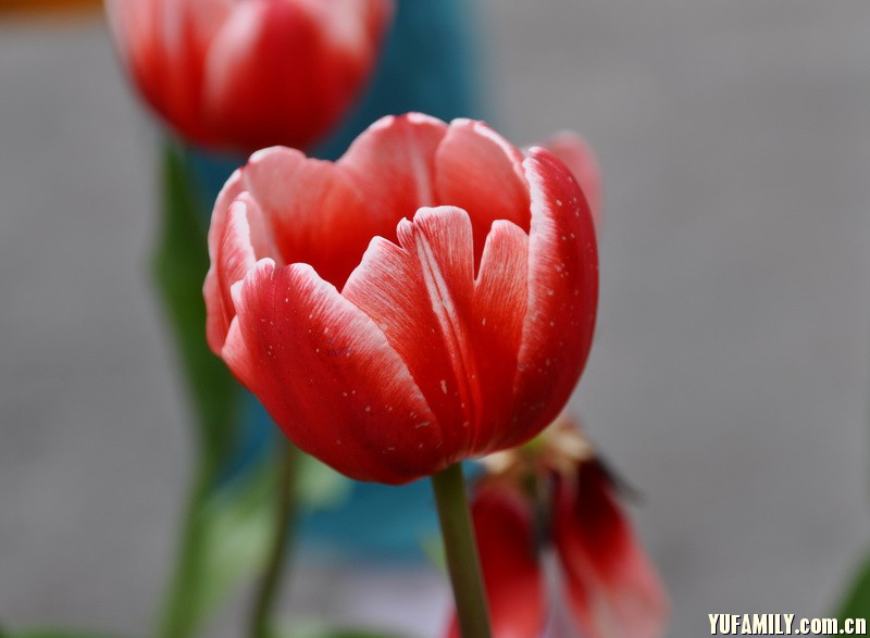 ������ (9).JPG