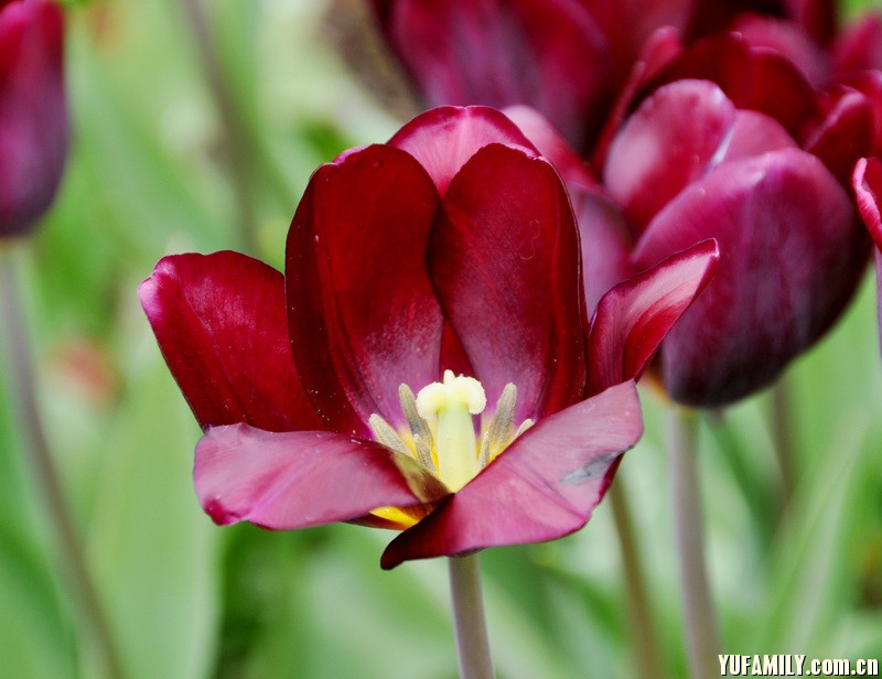 ������ (10).JPG