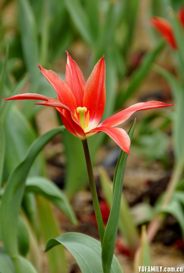 ������ (11).JPG