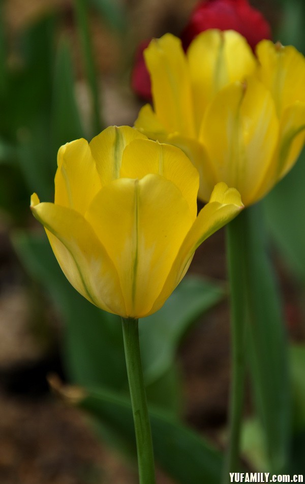 ������ (12).JPG