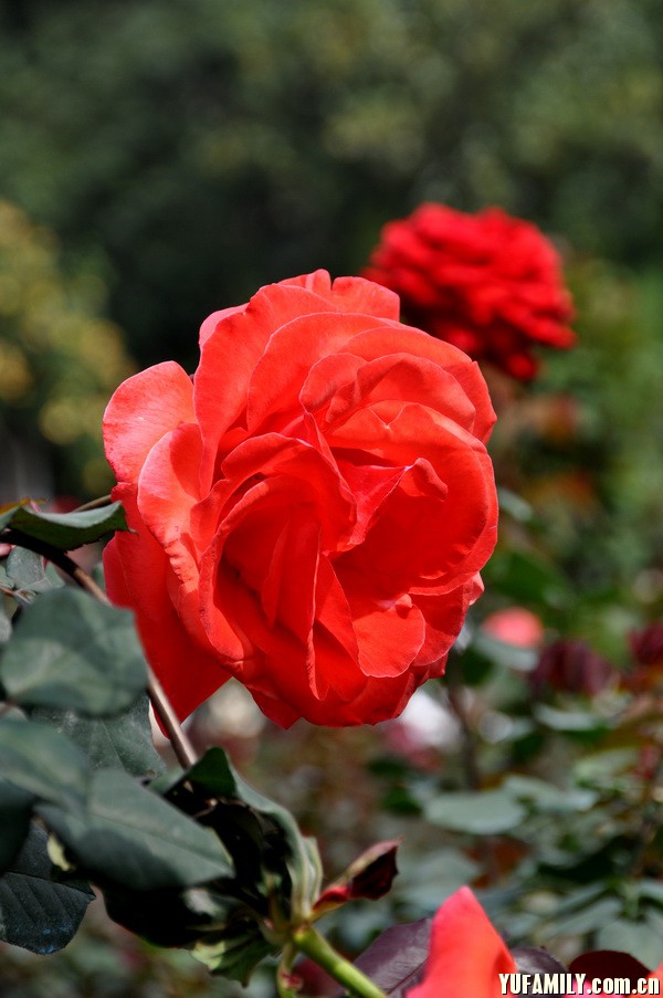 DSC_0035.JPG