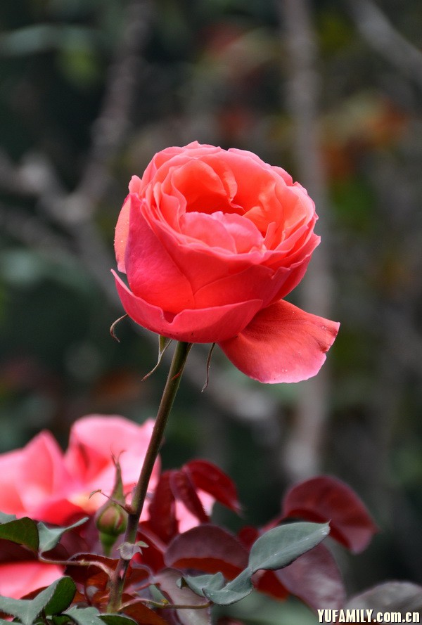 DSC_0037.JPG