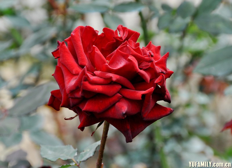 DSC_0044.JPG