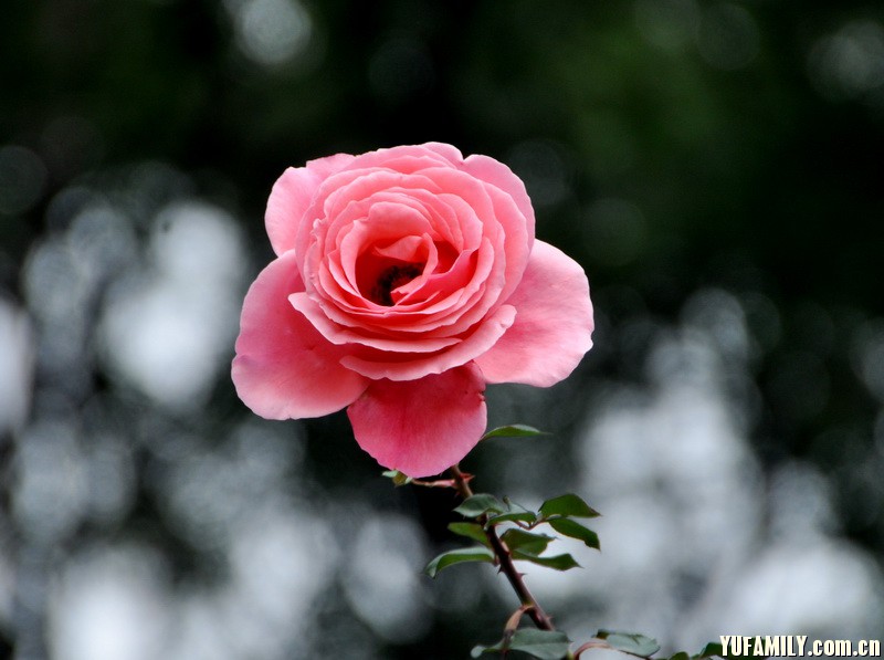 DSC_0068.JPG