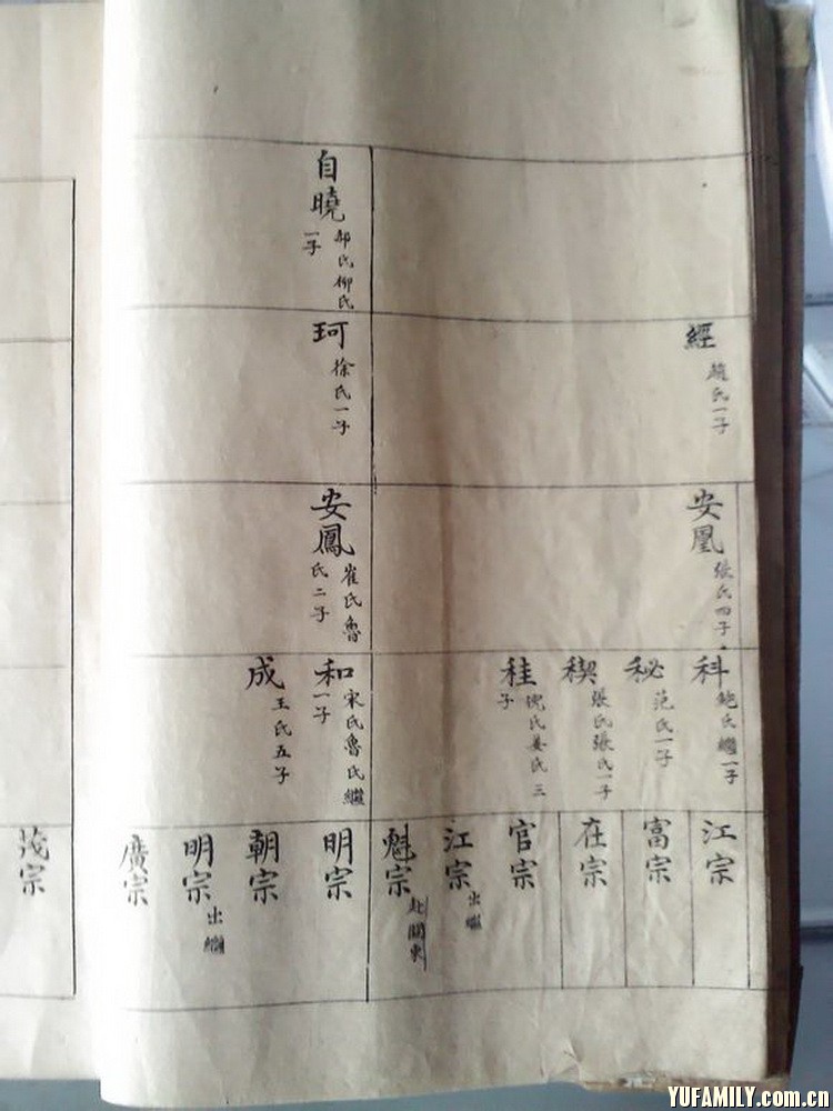 36.jpg
