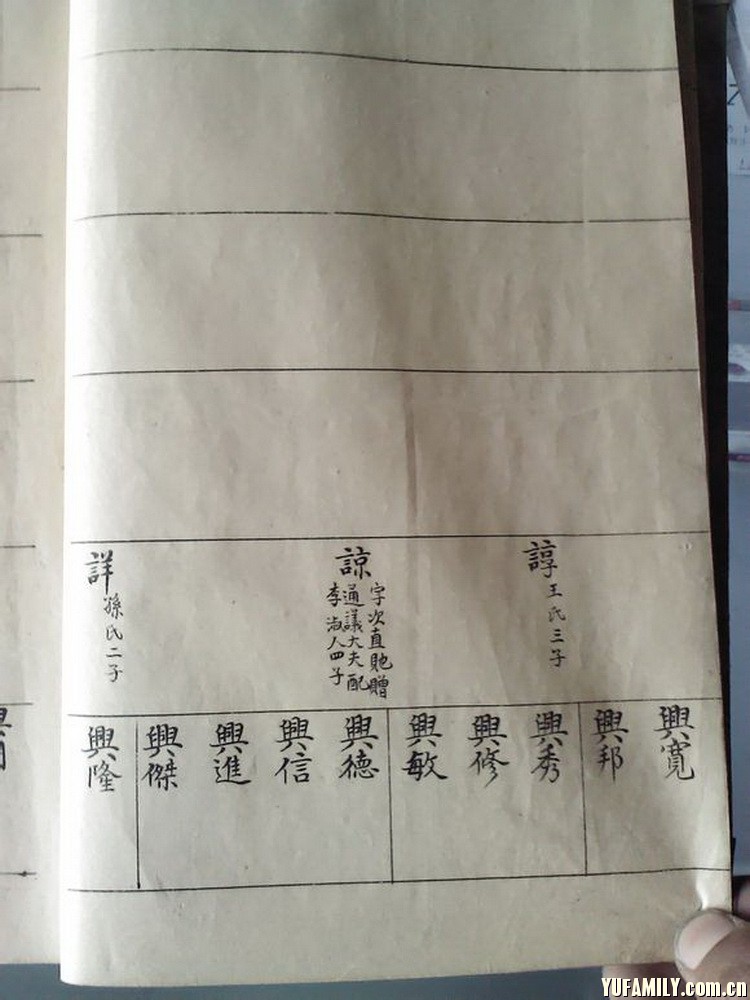 46.jpg