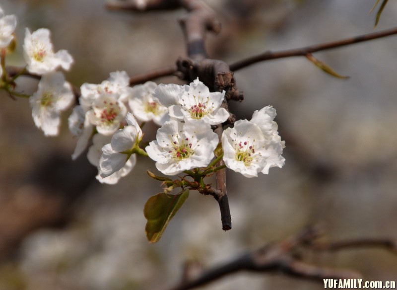 DSC_0038.JPG