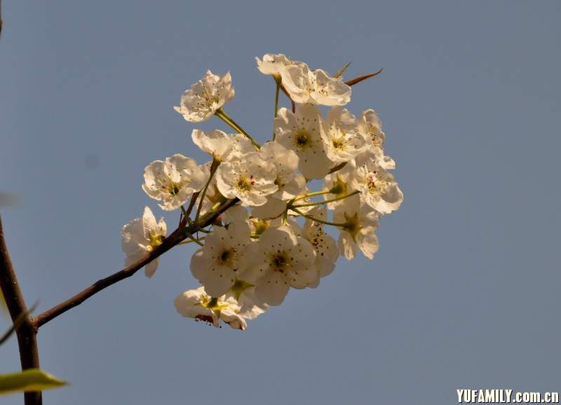 DSC_0093.JPG