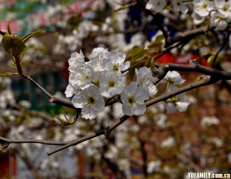 DSC_0135.JPG