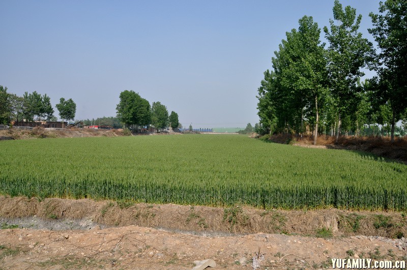 DSC_0082.JPG