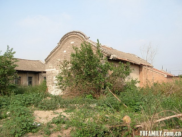 01.jpg