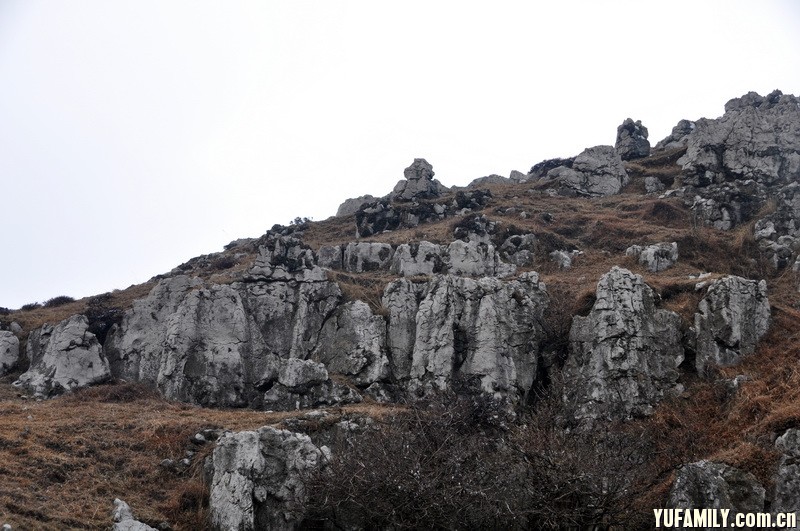 DSC_0180.JPG