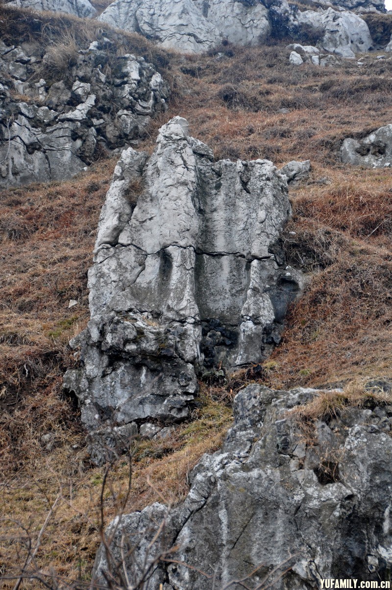 DSC_0181.JPG