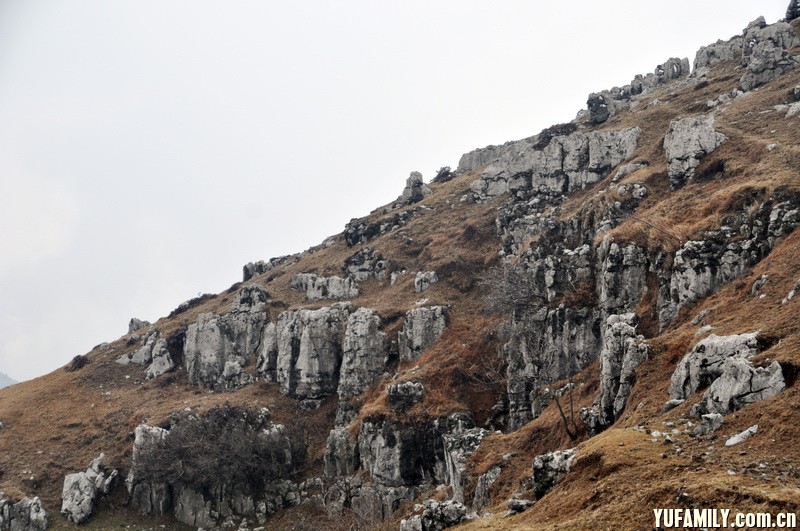 DSC_0182.JPG