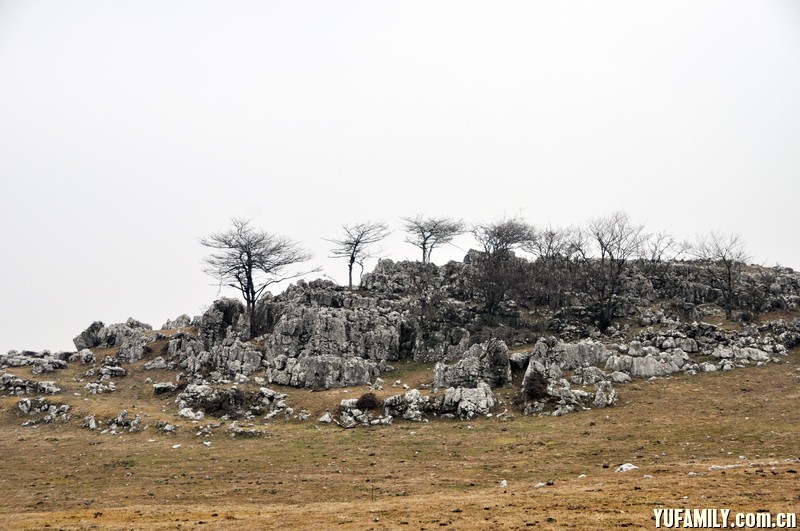 DSC_0193.JPG