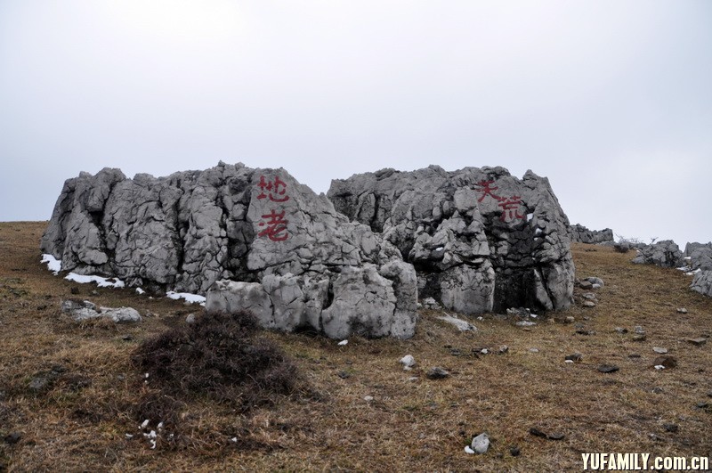 DSC_0200.JPG