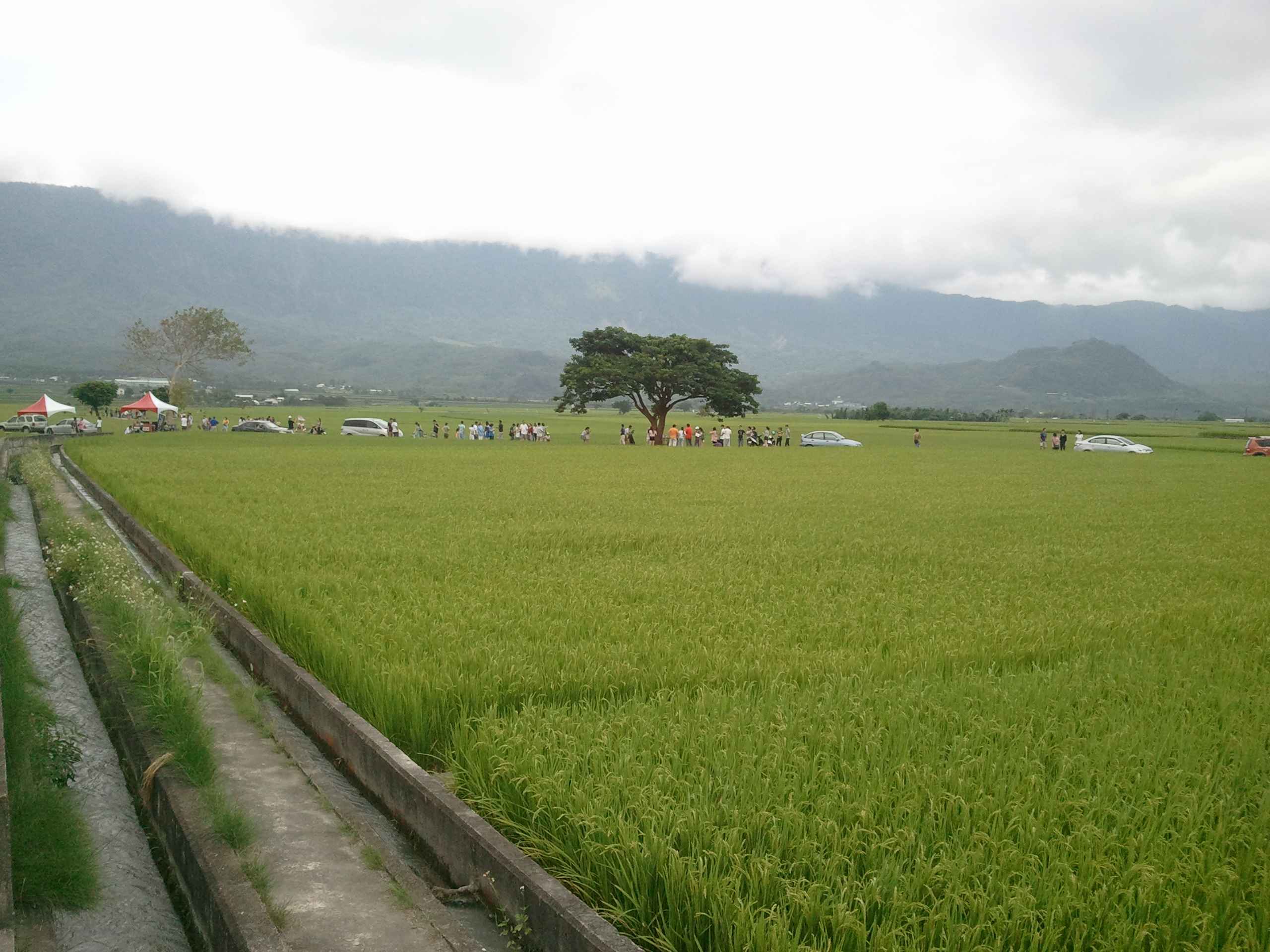 2014-06-01 16.18_1.jpg