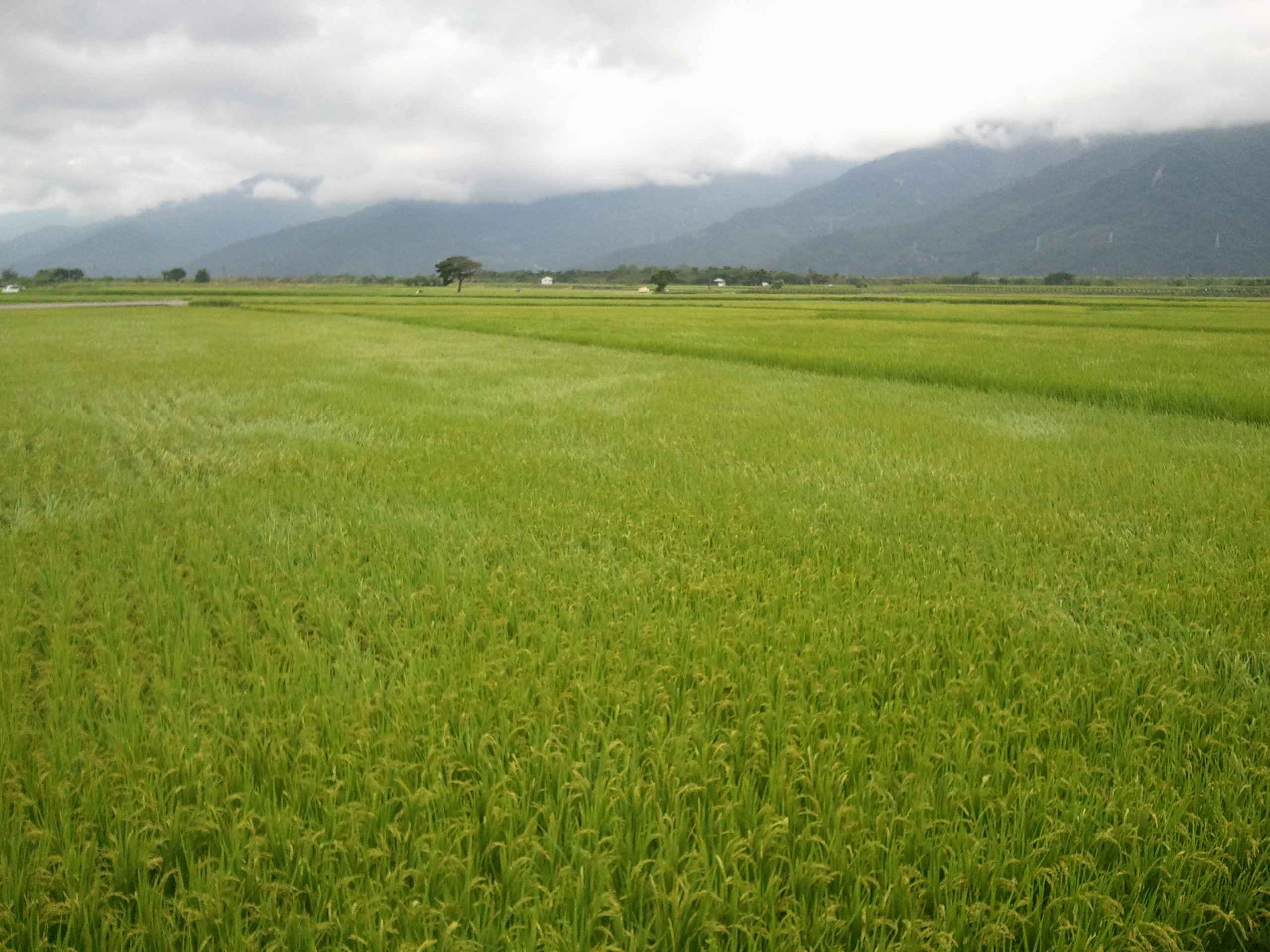 2014-06-01 16.18_2.jpg