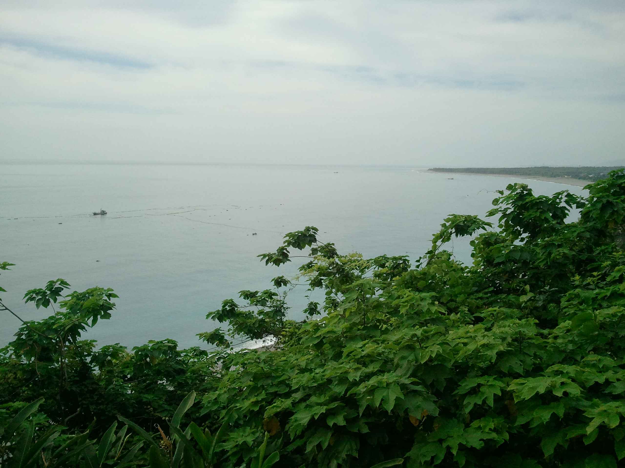 2014-06-02 08.08_6.jpg