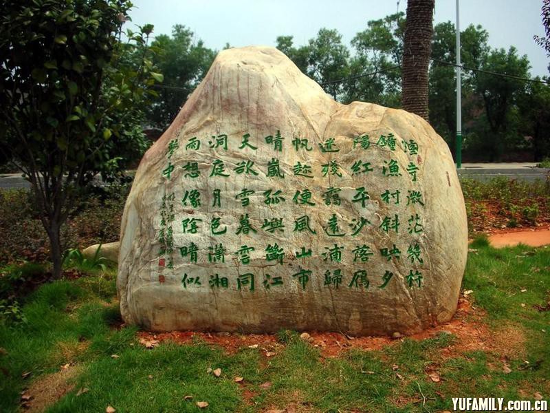 1241595163494_000.jpg