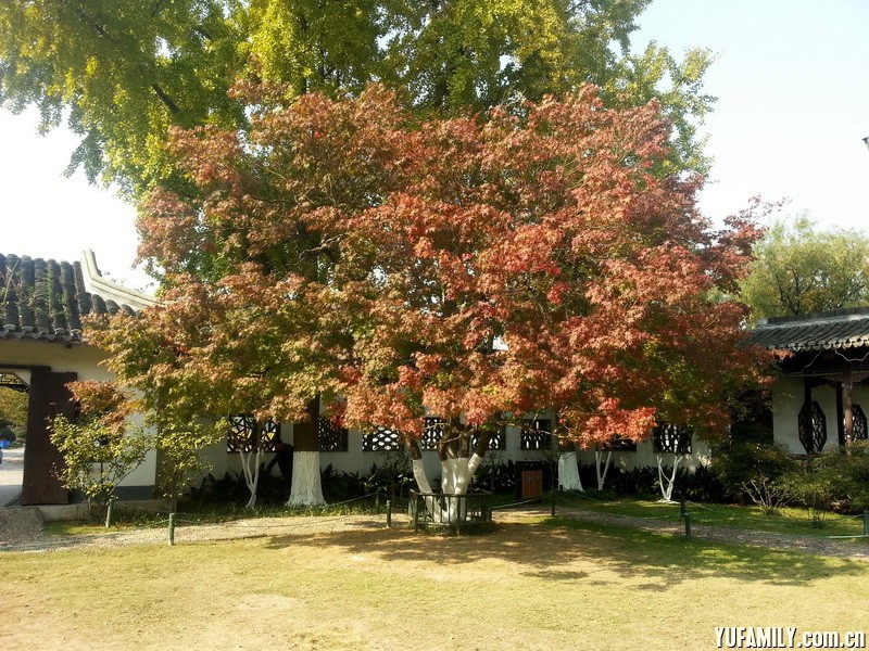 20141114_125404.jpg