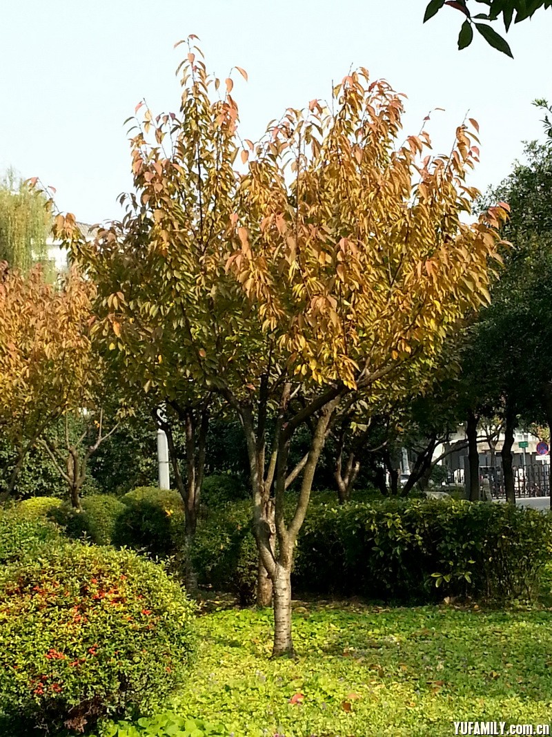 20141116_101936.jpg