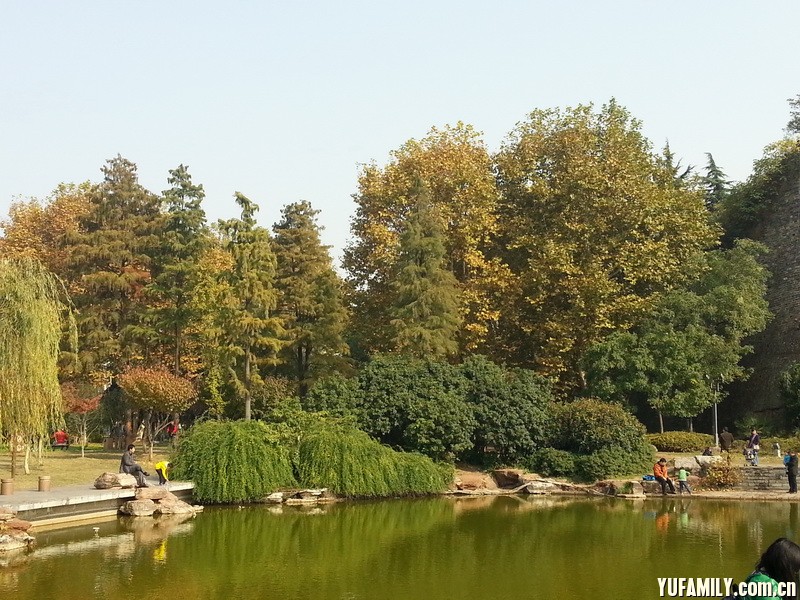 20141116_102806.jpg