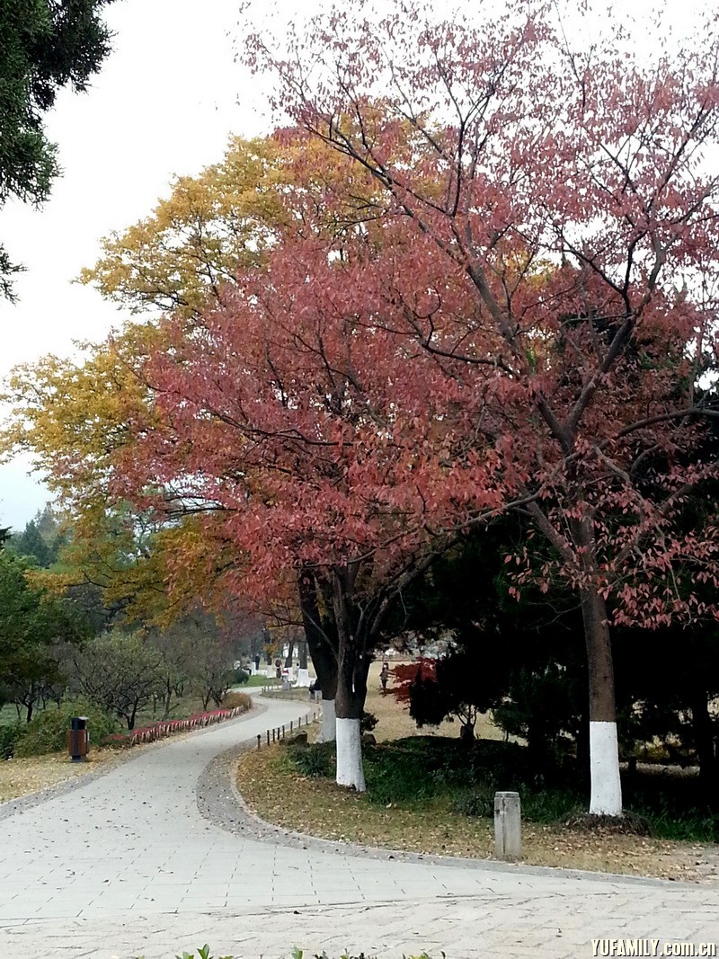 20141119_144558.jpg
