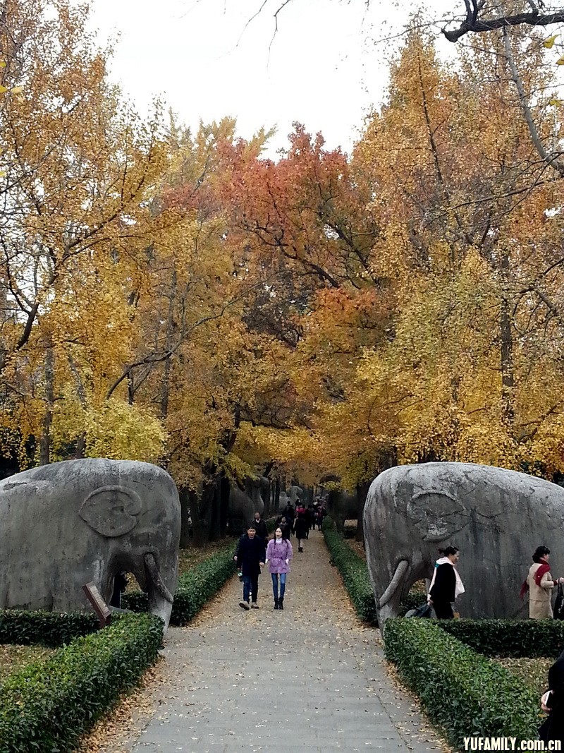 20141119_144723.jpg