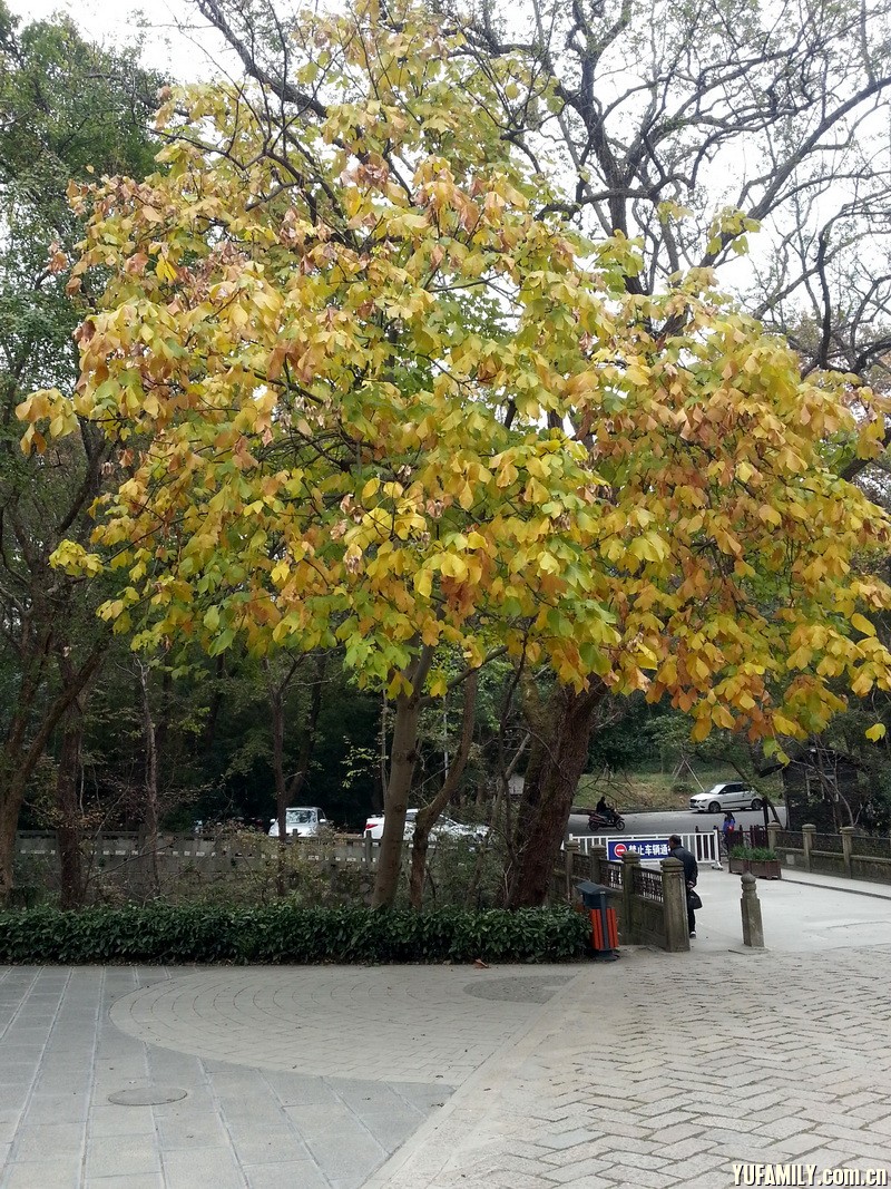 20141119_145847.jpg