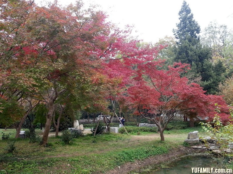 20141119_145946.jpg