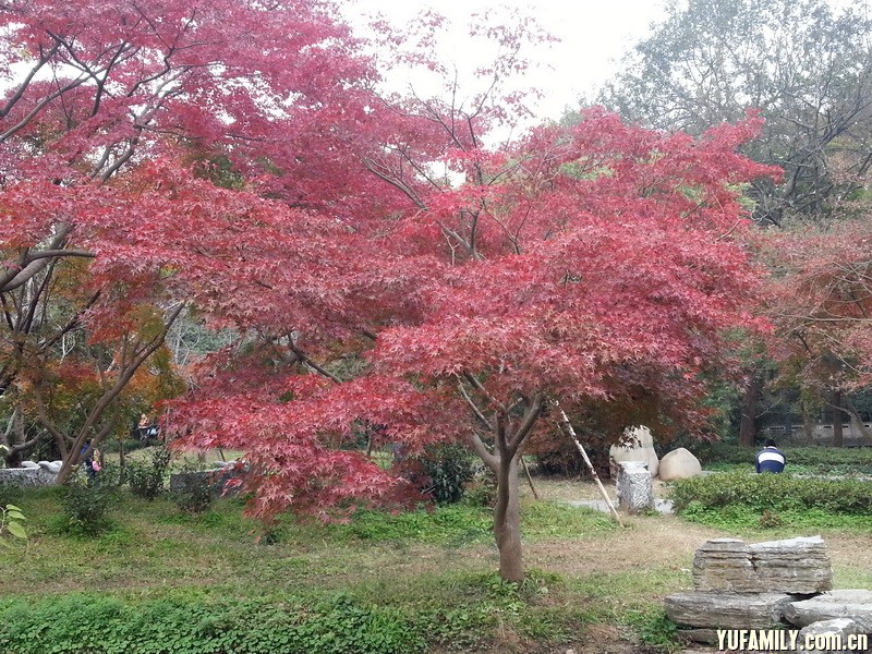 20141119_150012.jpg