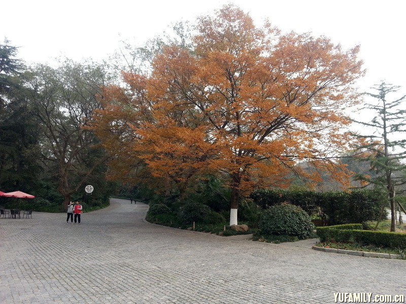 20141119_155508.jpg