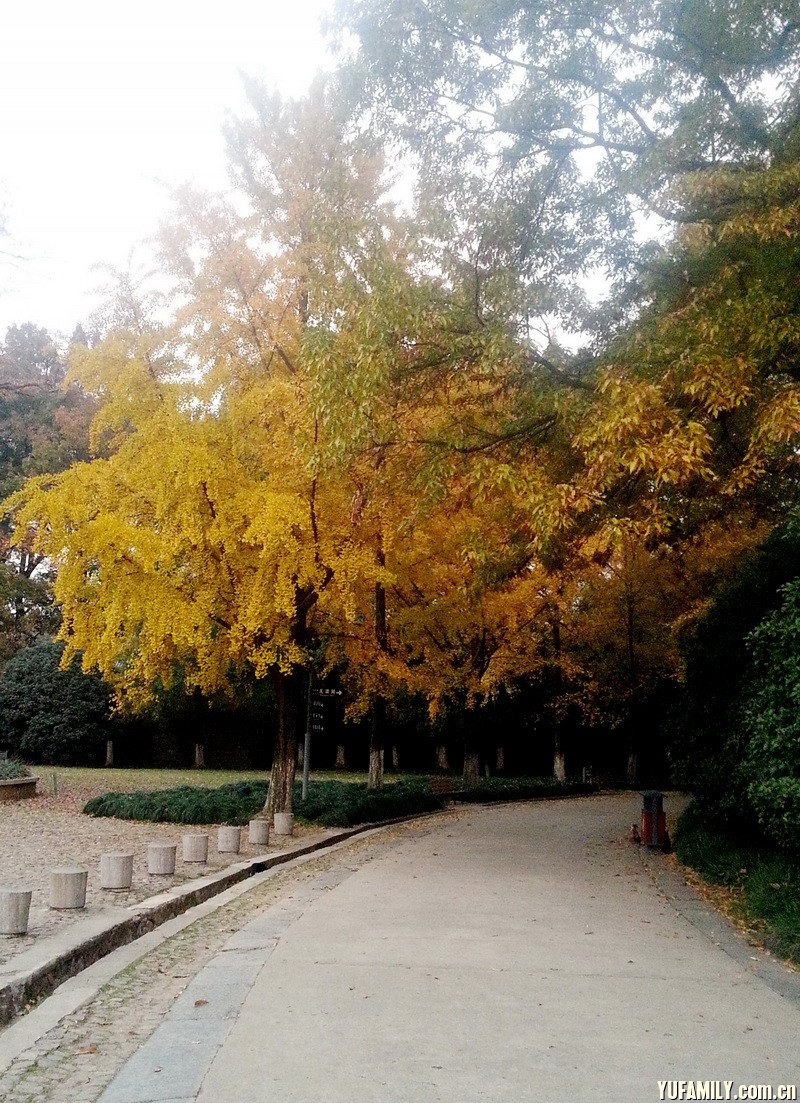 20141119_170316.jpg