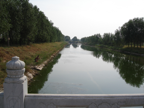xin_46302052814485151759548.jpg