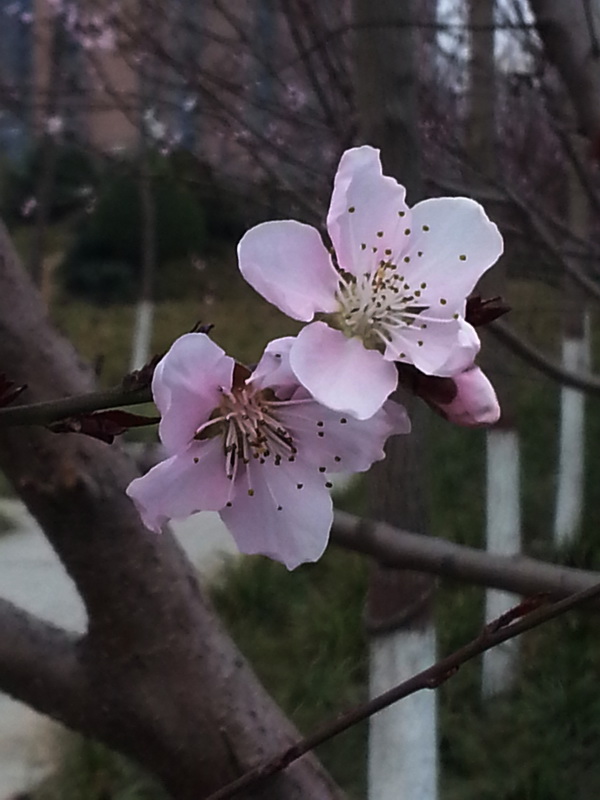 20150326_174141.jpg