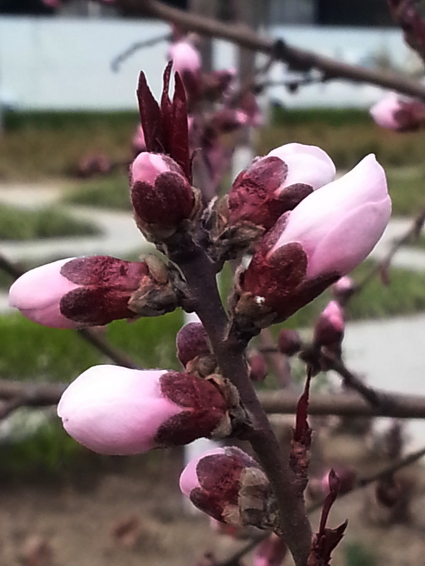20150326_174205.jpg